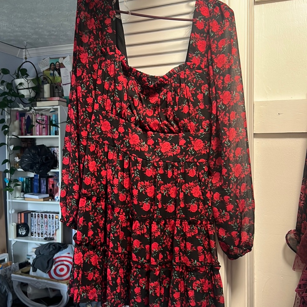 Francesca’s roses mini dress